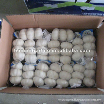 Knoblauch 3p in 10kg Karton